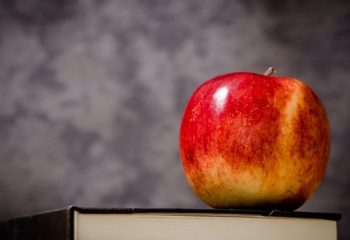 Биохраните влизат в менюто на училищата